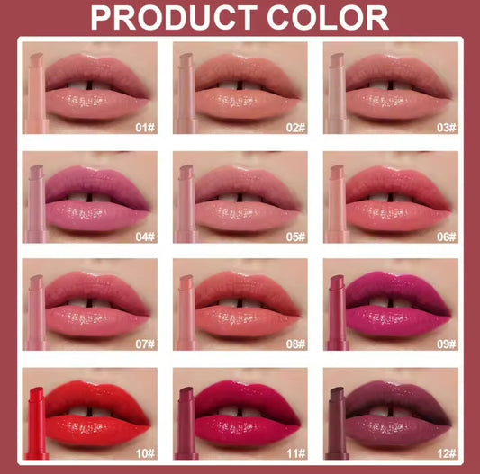 Dragon Ranee 12 colors lipstick pack waterproof