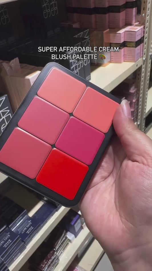 Carla secret 12 colors blusher & lipstick pallete