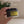 Load and play video in Gallery viewer, Cosrx advanced snail 92 all in one cream
